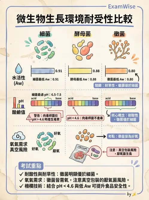營養 - 食品腐敗微生物學 - AI 圖文解析預覽