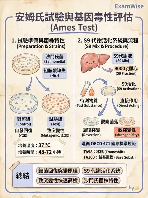 營養 - 食品安全性評估 - AI 圖文解析預覽
