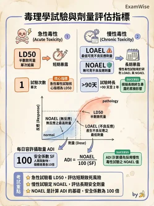 營養 - 食品安全性評估 - AI 圖文解析預覽