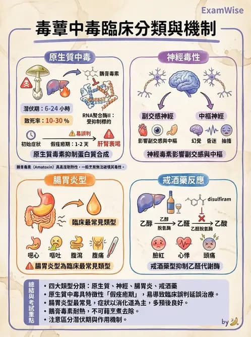 營養 - 天然毒素 - AI 圖文解析預覽