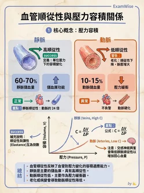 營養 - 心血管系統生理學 - AI 圖文解析預覽