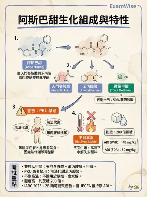 營養 - 蛋白質與胺基酸代謝 - AI 圖文解析預覽