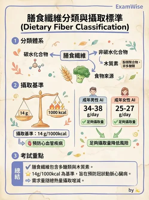 營養 - 醣類結構與膳食纖維 - AI 圖文解析預覽
