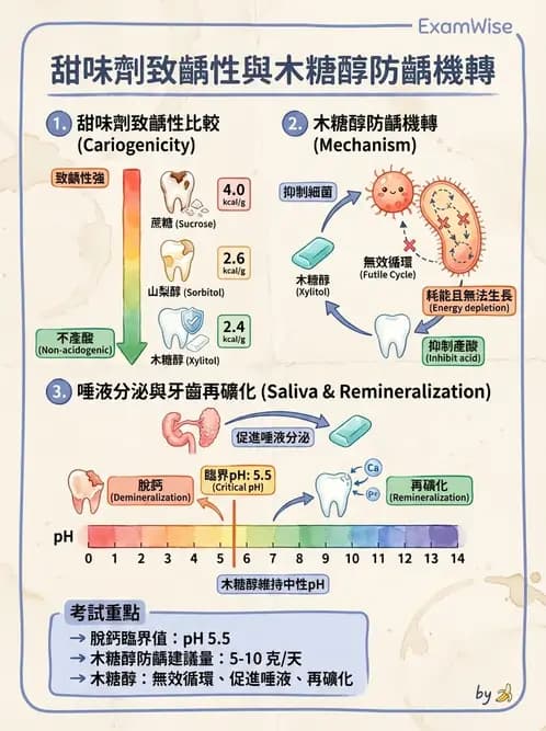 營養 - 當代營養學相關議題 - AI 圖文解析預覽