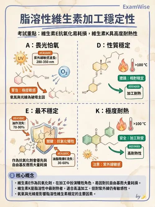 營養 - 當代營養學相關議題 - AI 圖文解析預覽