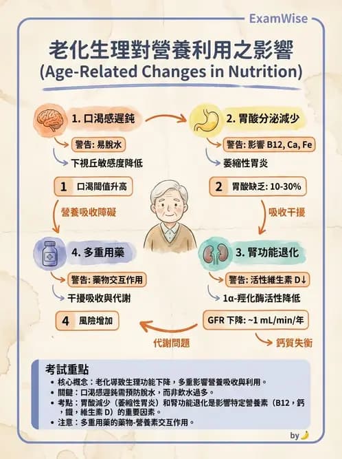 營養 - 兒童青少年與老年營養 - AI 圖文解析預覽