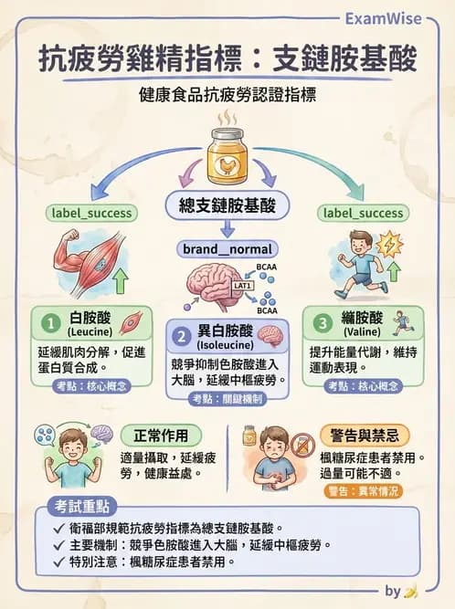 營養 - 當代營養學相關議題 - AI 圖文解析預覽
