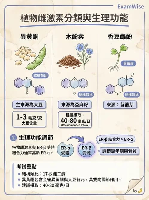 營養 - 當代營養學相關議題 - AI 圖文解析預覽