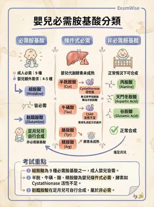 營養 - 嬰幼兒營養 - AI 圖文解析預覽