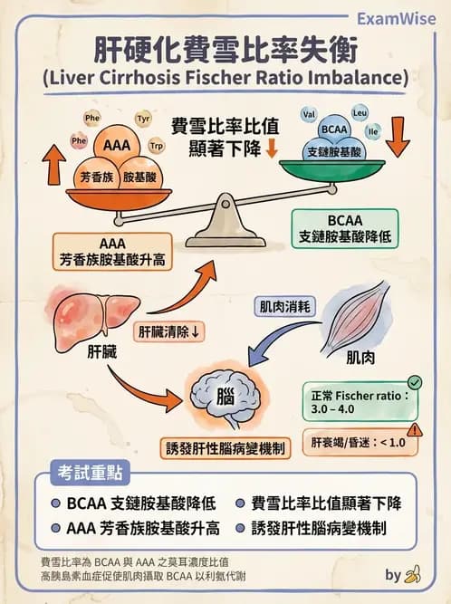 營養 - 肝膽疾病 - AI 圖文解析預覽