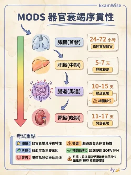 營養 - 重症一般營養照護 - AI 圖文解析預覽
