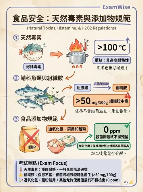 營養 - 食品安全衛生管理 - AI 圖文解析預覽