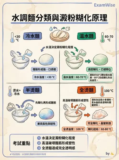 營養 - 穀類、澱粉與麵粉製備原理 - AI 圖文解析預覽
