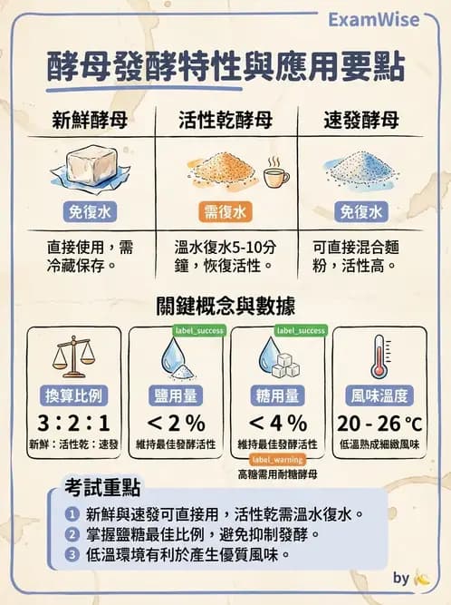 營養 - 穀類、澱粉與麵粉製備原理 - AI 圖文解析預覽