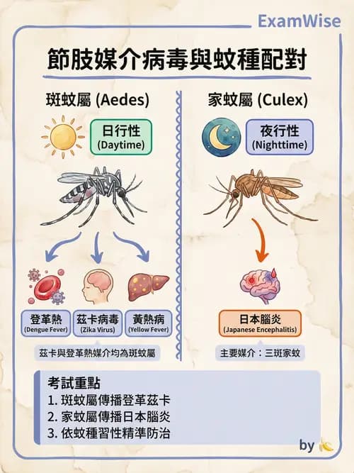 專師 - 院內感染與感控 - AI 圖文解析預覽