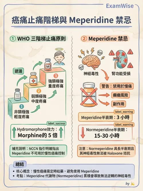 專師 - 疼痛控制與止痛藥物 - AI 圖文解析預覽