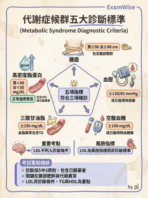 專師 - 代謝症候群與血脂 - AI 圖文解析預覽