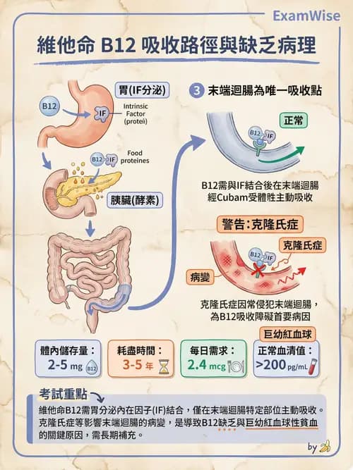 專師 - 營養學 - AI 圖文解析預覽