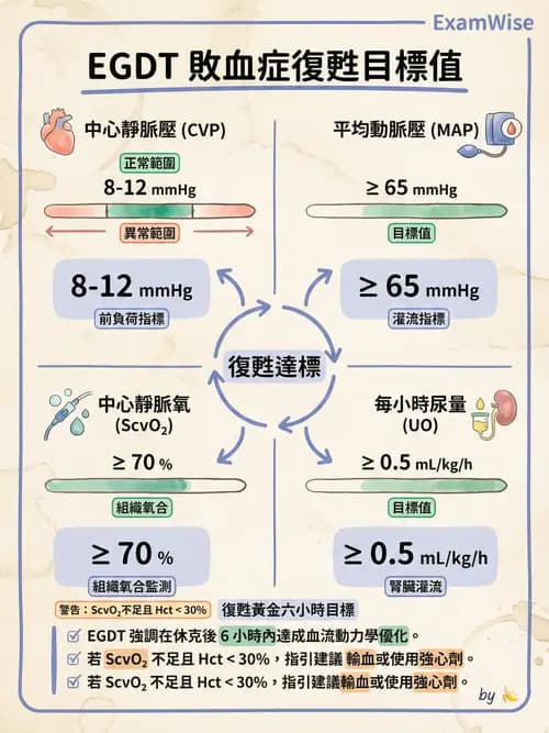 專師 - 敗血症治療與復甦指引 - AI 圖文解析預覽