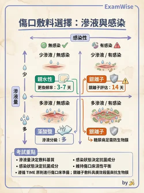 專師 - 皮膚軟組織感染 - AI 圖文解析預覽