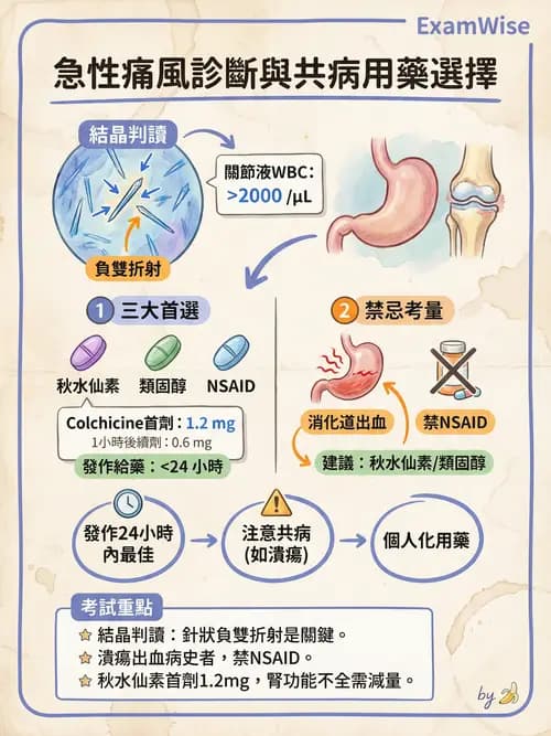專師 - 風濕免疫疾病 - AI 圖文解析預覽