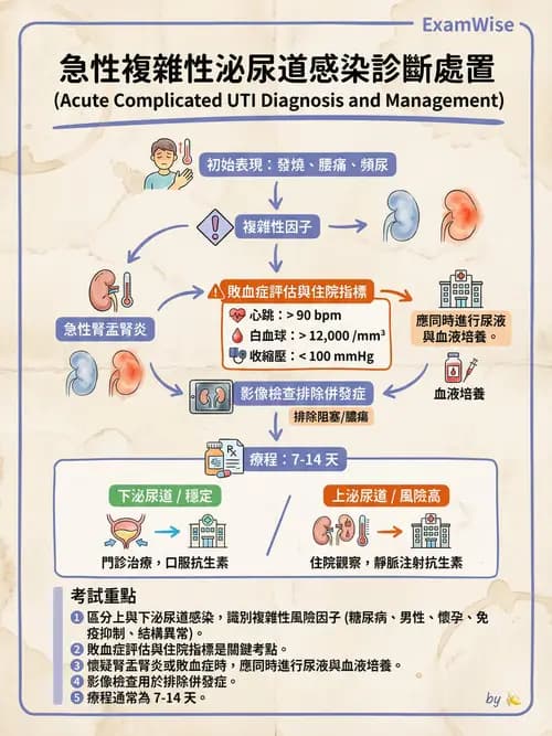 專師 - 泌尿道感染 - AI 圖文解析預覽