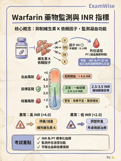 專師 - 血液疾病 - AI 圖文解析預覽