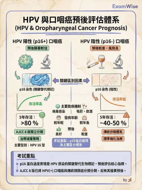 專師 - 肺癌與消化道癌 - AI 圖文解析預覽