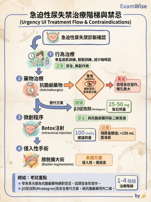 專師 - 尿失禁與排尿障礙 - AI 圖文解析預覽