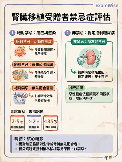 專師 - 腎臟移植 - AI 圖文解析預覽