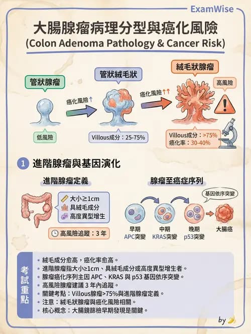 專師 - 大腸直腸癌與息肉 - AI 圖文解析預覽