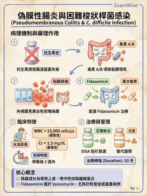 專師 - 腸胃道感染 - AI 圖文解析預覽