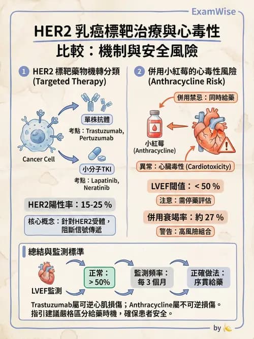 專師 - 乳癌與婦癌 - AI 圖文解析預覽