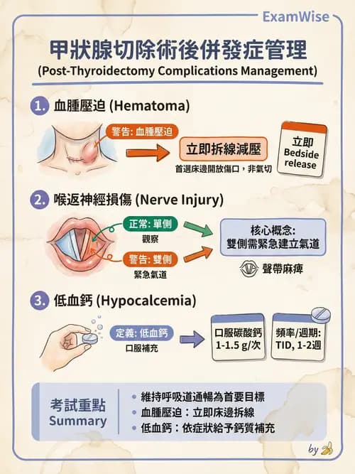 專師 - 頭頸腫瘤與甲狀腺 - AI 圖文解析預覽