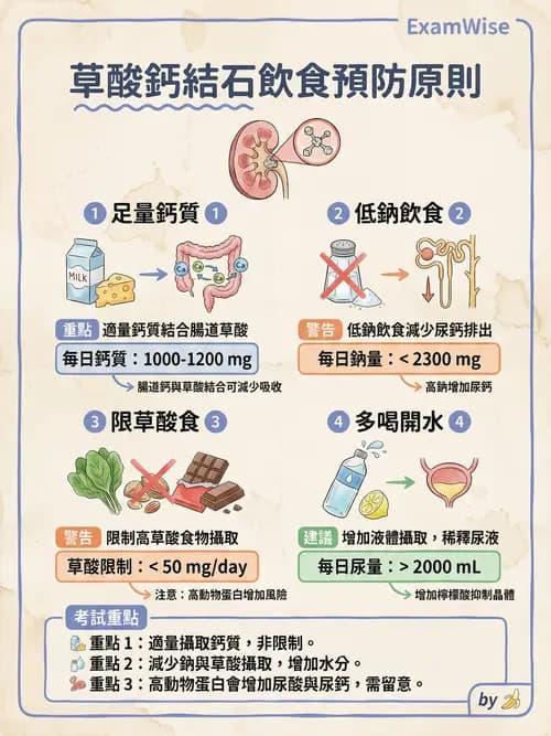 專師 - 泌尿道結石 - AI 圖文解析預覽