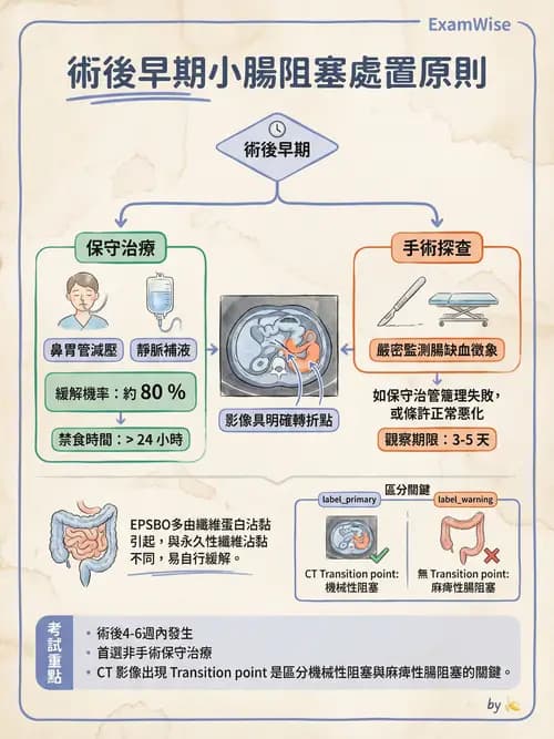 專師 - 闌尾炎與腸道外科 - AI 圖文解析預覽