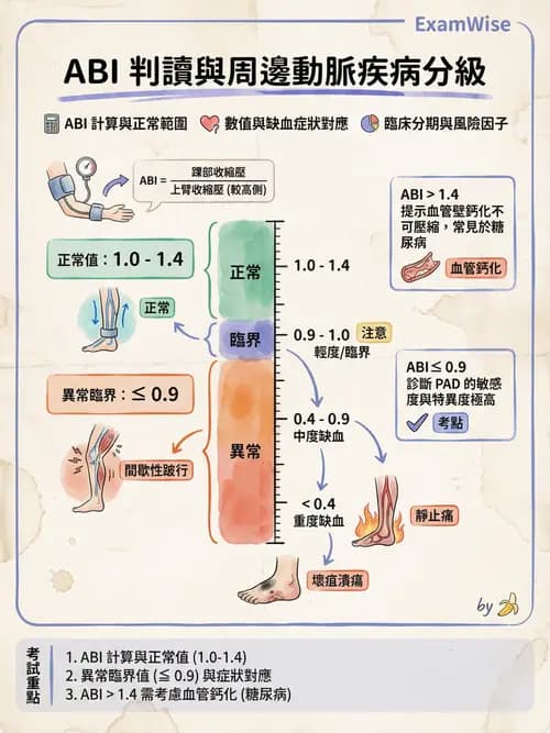 專師 - 周邊血管與靜脈疾病 - AI 圖文解析預覽