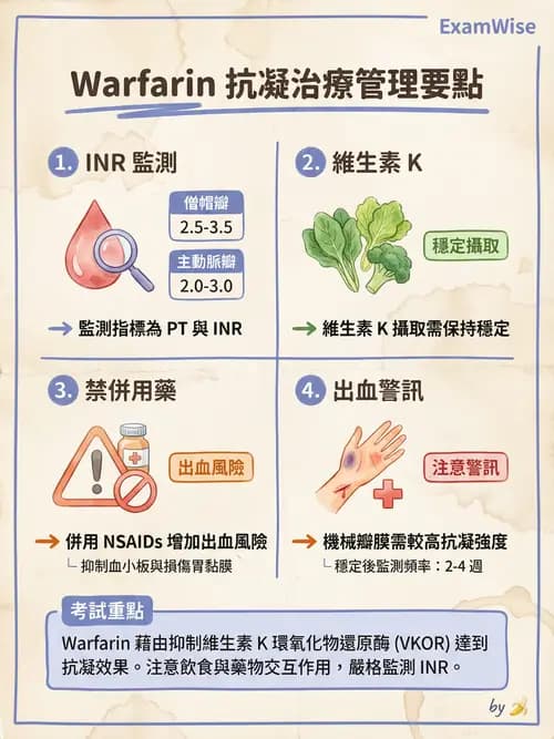 專師 - 心臟外科與介入 - AI 圖文解析預覽