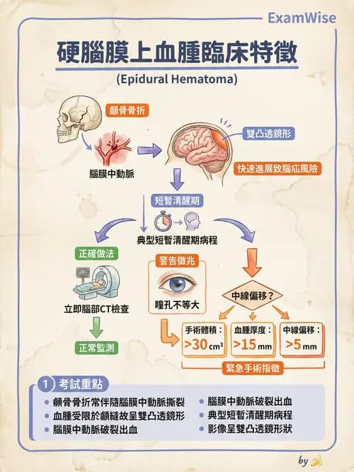 專師 - 頭部外傷與顱內壓 - AI 圖文解析預覽
