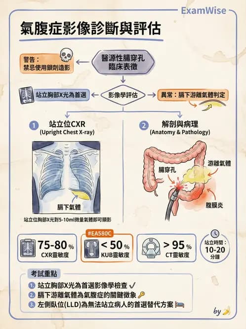 專師 - 腹部評估與急腹症 - AI 圖文解析預覽
