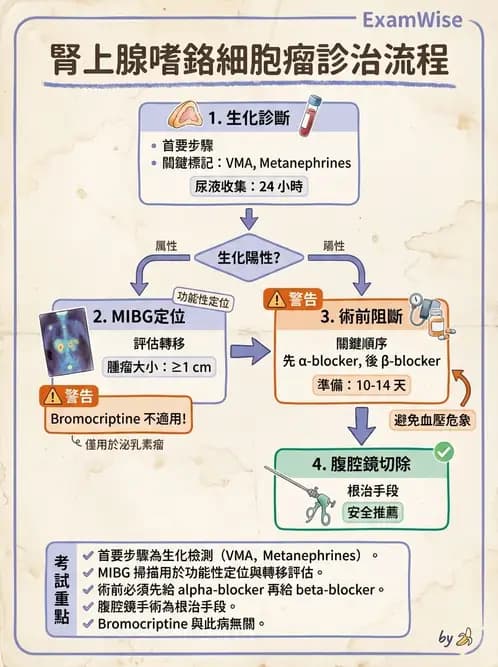 專師 - 陰囊與泌尿急症 - AI 圖文解析預覽