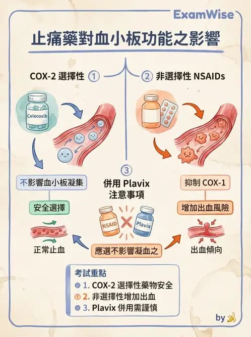專師 - 心臟外科與介入 - AI 圖文解析預覽