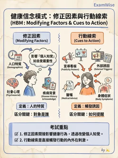 營養 - 健康行為改變理論 - AI 圖文解析預覽