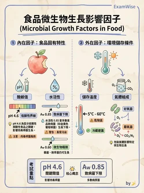 營養 - 食品腐敗微生物學 - AI 圖文解析預覽