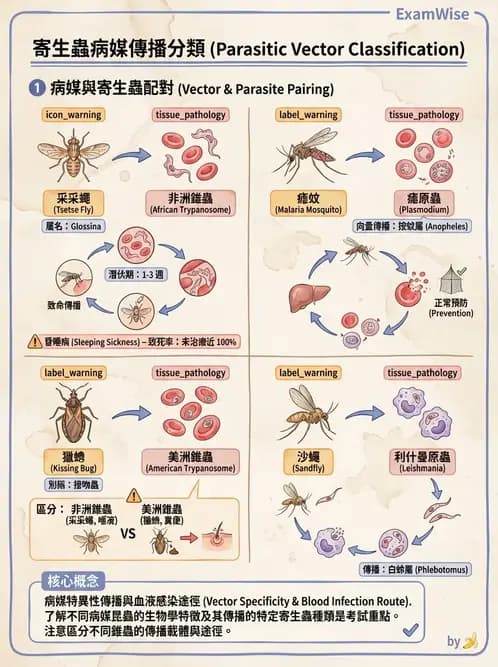 營養 - 生物性污染與寄生蟲 - AI 圖文解析預覽