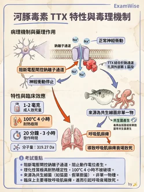 營養 - 天然毒素 - AI 圖文解析預覽
