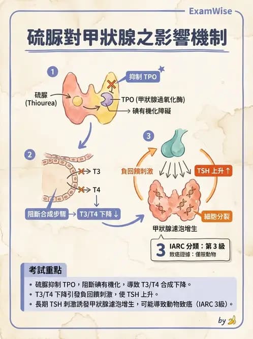 營養 - 食品安全性評估 - AI 圖文解析預覽