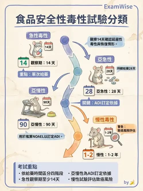 營養 - 食品安全性評估 - AI 圖文解析預覽