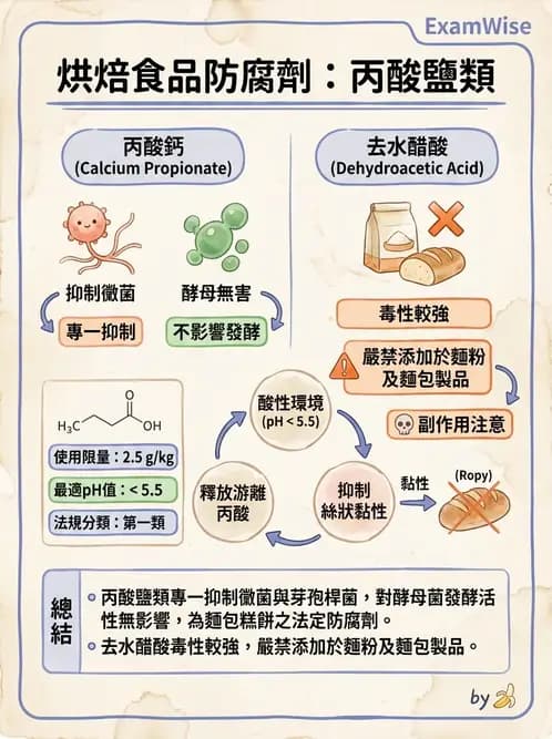 營養 - 食品添加物 - AI 圖文解析預覽