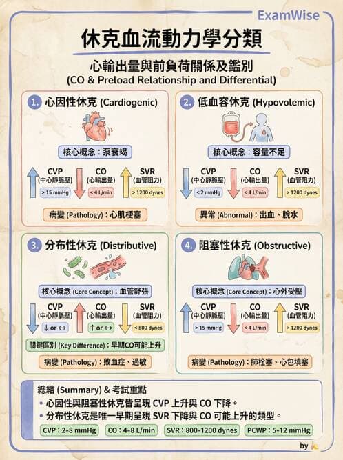 專師 - 休克分類與血行動力學 - AI 圖文解析預覽